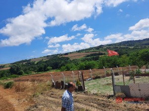 whatsapp_image_2022_07_01_at_111656_3 (2).jpeg
